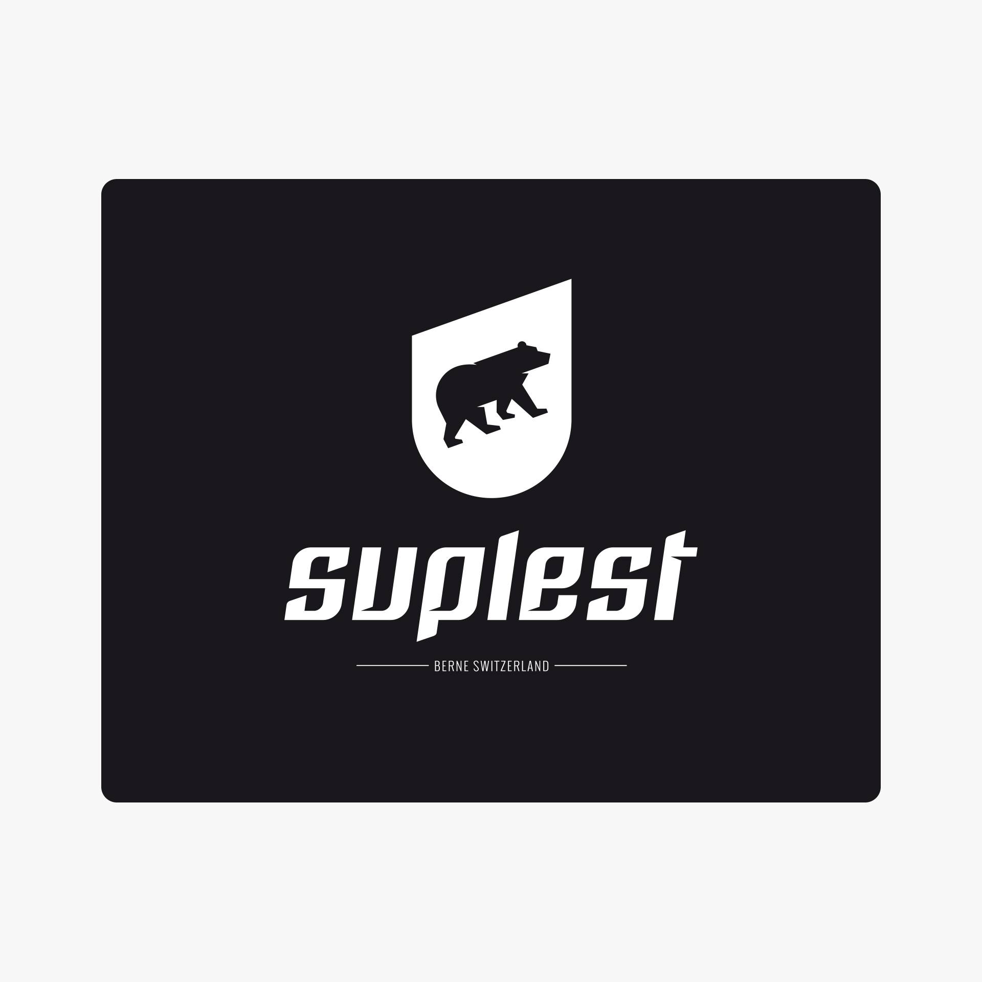 POS suplest Big Logo Board for Slatwall